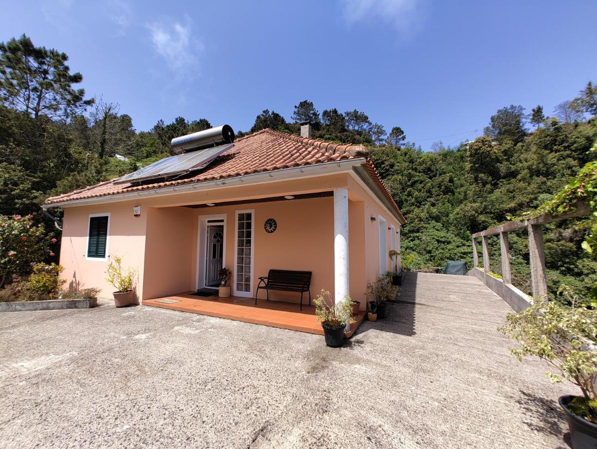 Ilha&Montanha - Turismo Rural Santana (Madeira) Exterior foto